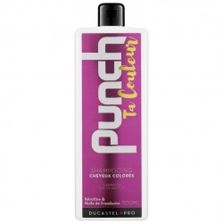 shampooing-punch-ta-couleur-cheveux-colores-500-ml-ducastel.jpg